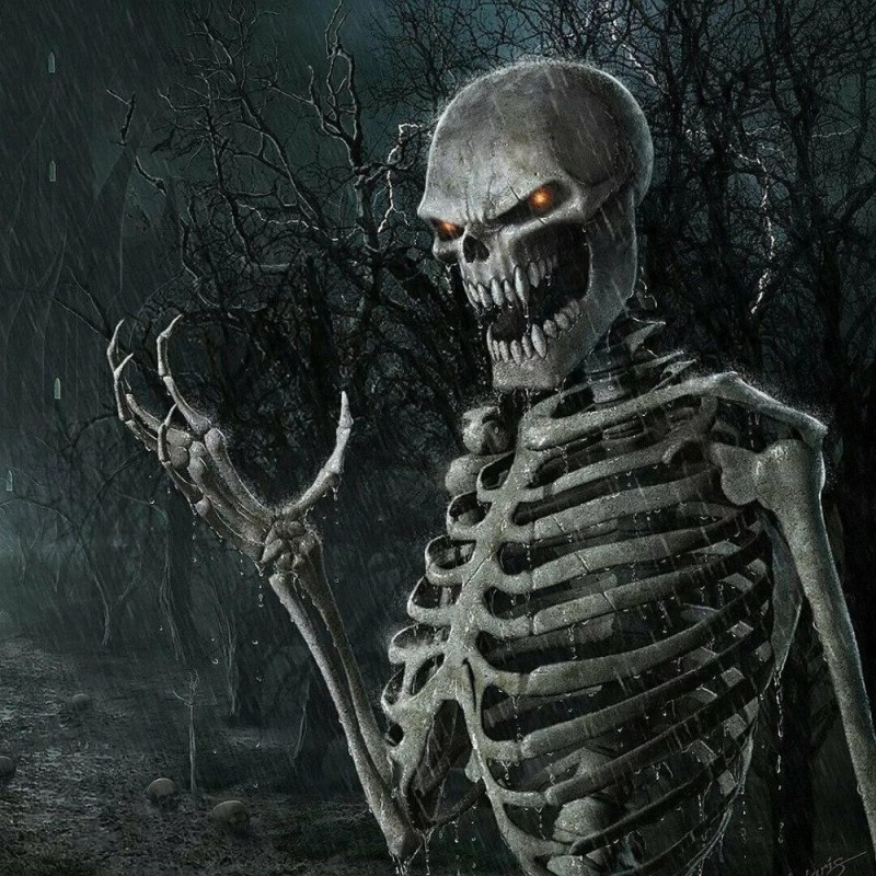 Create meme: the skeleton is beautiful, skeleton background, skeleton with a scythe