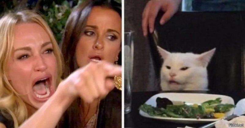 Create meme: meme two girls and a cat, a meme with a cat and girls at the table, meme was a woman and a cat