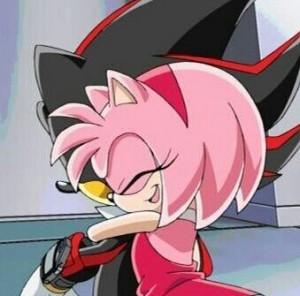 Create meme: shadamy, Amy rose