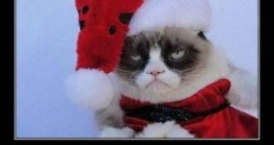 Создать мем: недовольный кот в новогодней шапке, с нг кароч, с др короч