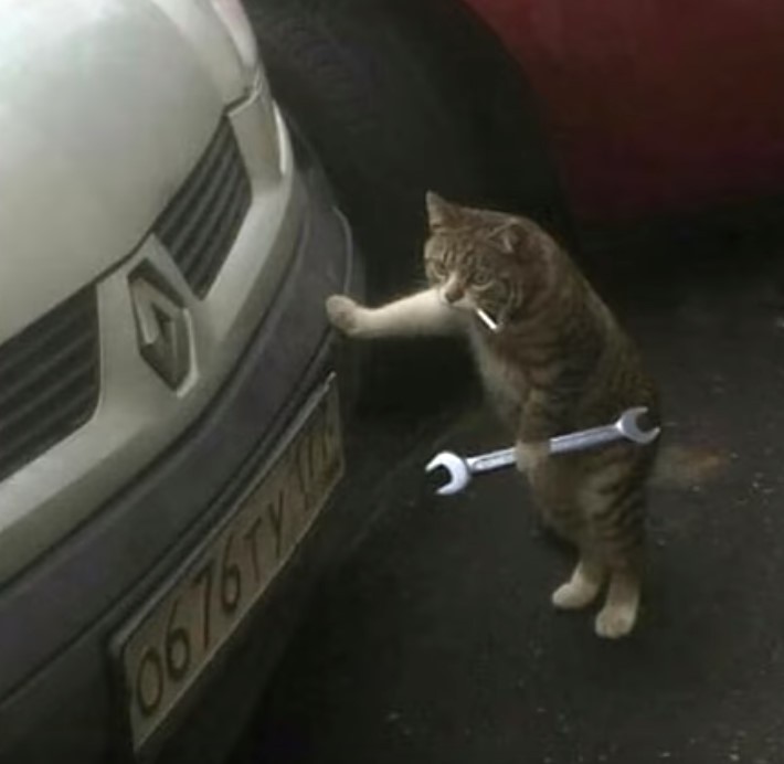 Create meme: meme cat with a wrench, a cat with a wrench, cat repairs car