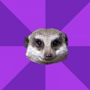 Create meme: meerkat, meerkat, Misophonia Meerkat