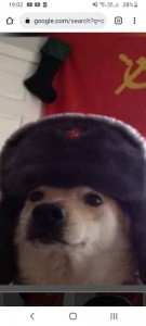 Создать мем: французская собака, comrade doggo, собака в шапке ушанке