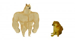 Create meme: inflated dog meme, doge meme Jock