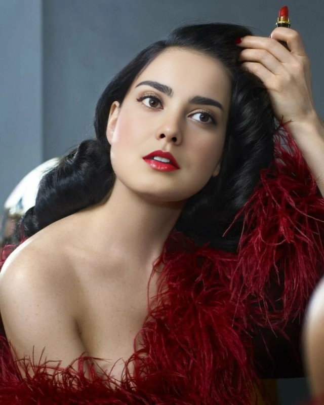 Create meme: The style of the vamp Dita von Teese, the image of a vamp woman, woman vamp