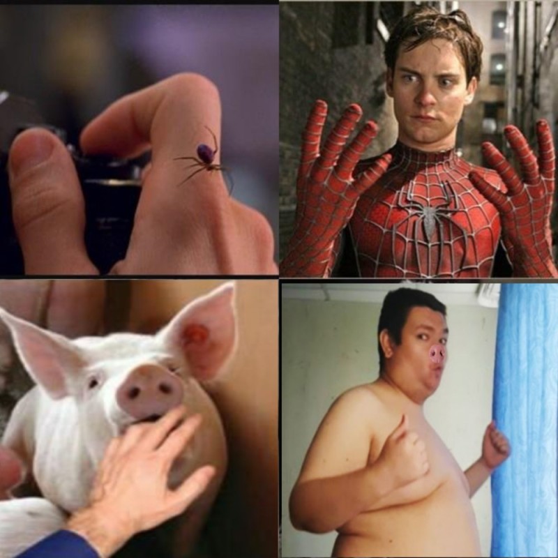 Create meme: spider tobey maguire, bitten by a spider, The spider that bit Peter Parker