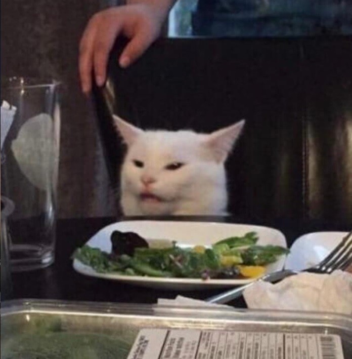 Create meme: a disgruntled cat at the table, cats at the table, cat at the table 