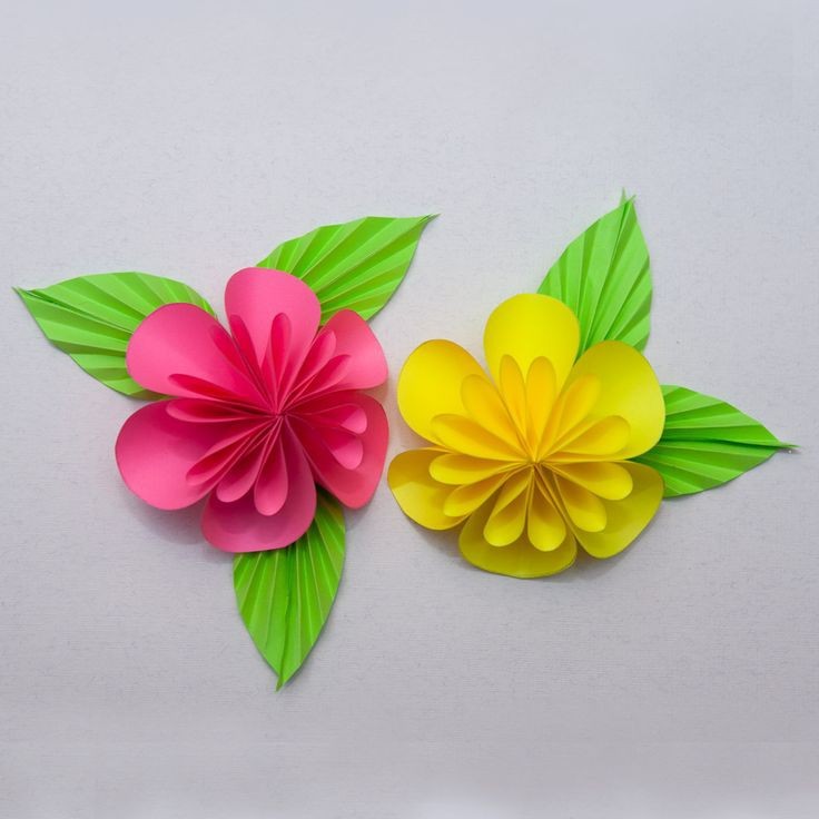 Create meme: paper flowers, a simple paper flower, origami paper flower