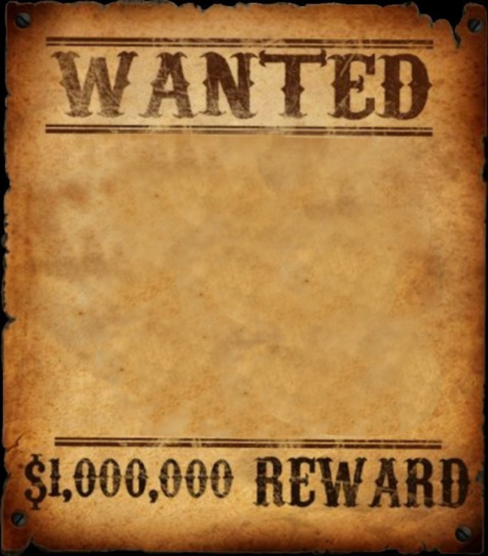 Create meme: wanted poster, wanted poster, searched 