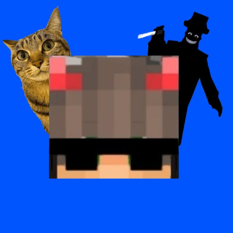 Create meme: the cat in Minecraft, the cat from Minecraft, a cat in Minecraft