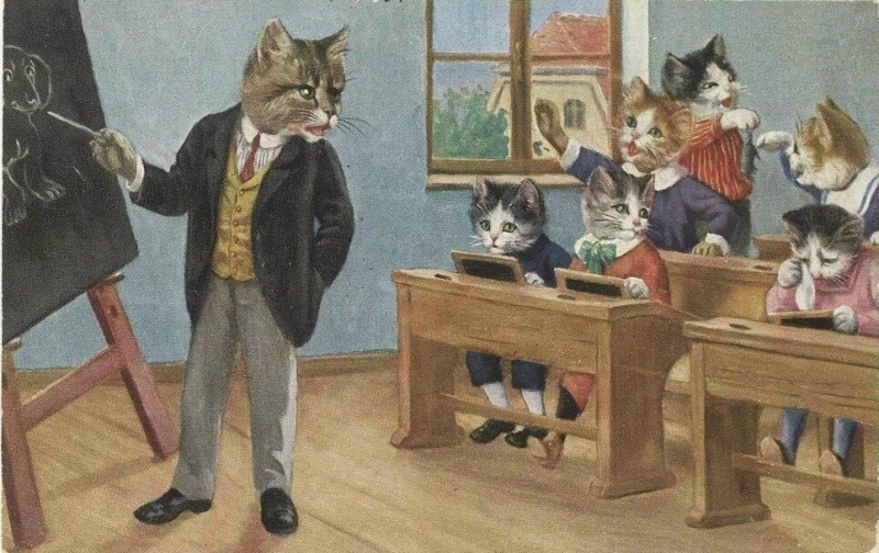 Create meme: cat school, Arthur Thiele Cat School, cats at school