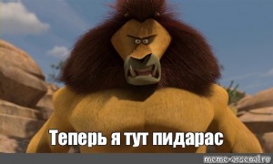 Create meme: lion Madagascar, Madagascar, Alex the lion Madagascar