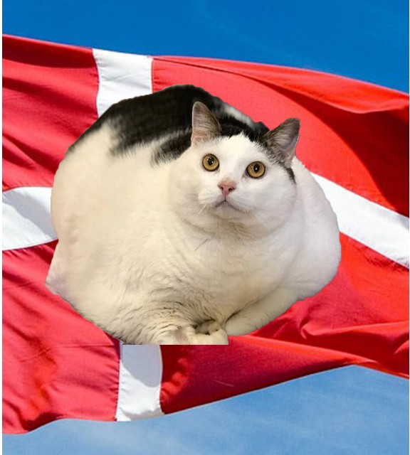 Create meme: fat cat , the fat cat, cat 