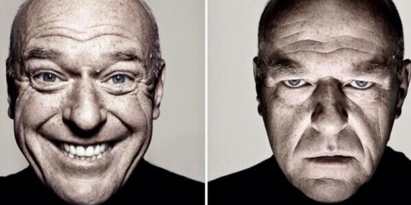 Create meme: Dean Norris Hank Schrader, portraits photos, sad dean norris