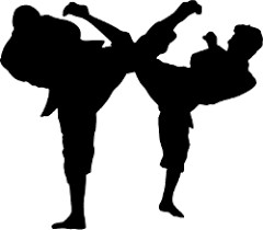 Create meme: Taekwondo silhouette, karate silhouette, martial arts silhouette