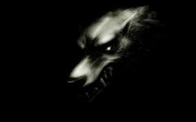 Create meme: wolf furious, dark wolf, dark wolf art