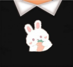 Создать мем: кролик аниме вектор, t shirt для роблокс, наклейки кролики