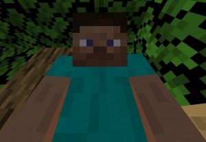 Create meme: minecraft herobrine, minecraft, the head of herobrine