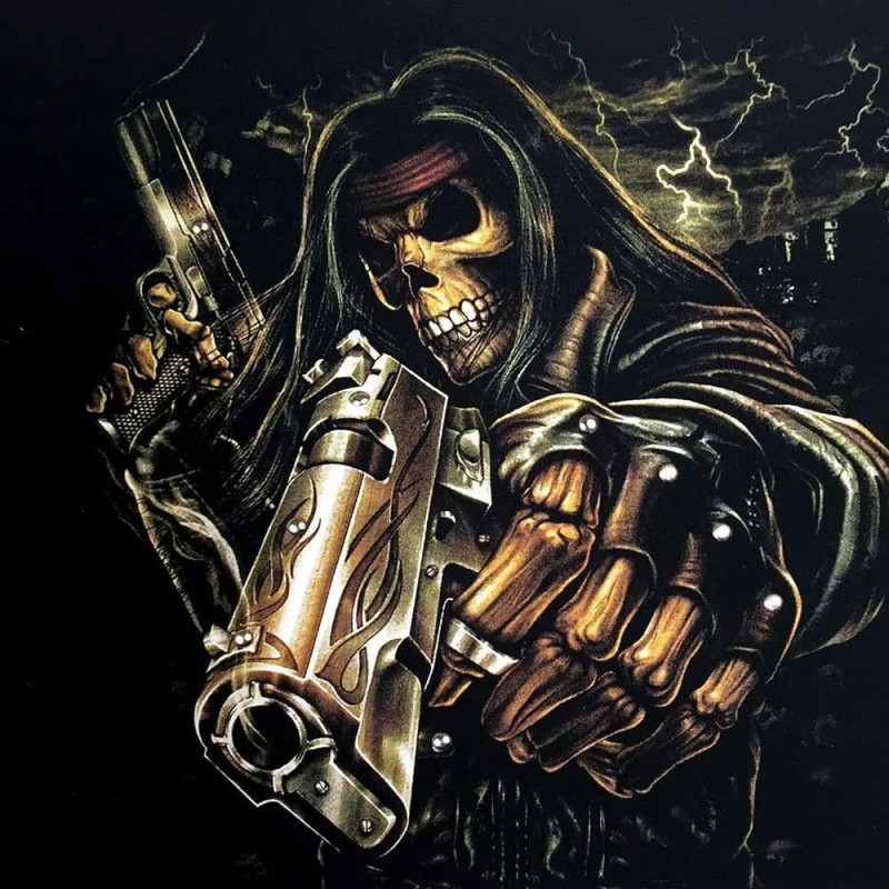 Create meme: skull with pistols, skeleton with a gun, a skeleton with a revolver