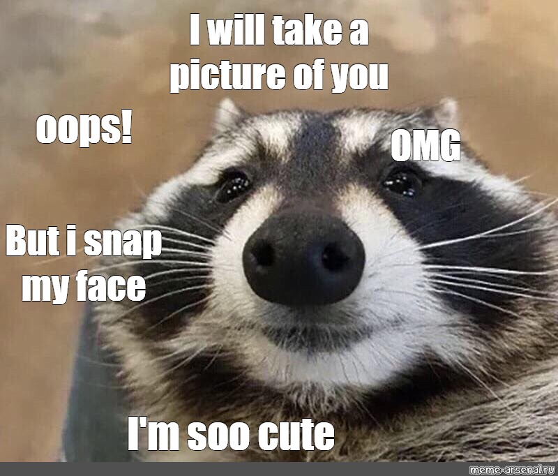 Cute Memes For Snap | atelier-yuwa.ciao.jp