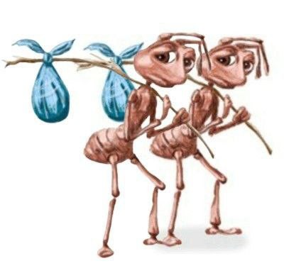 Create meme: sad ant, ant with a stick, ant with a bag meme