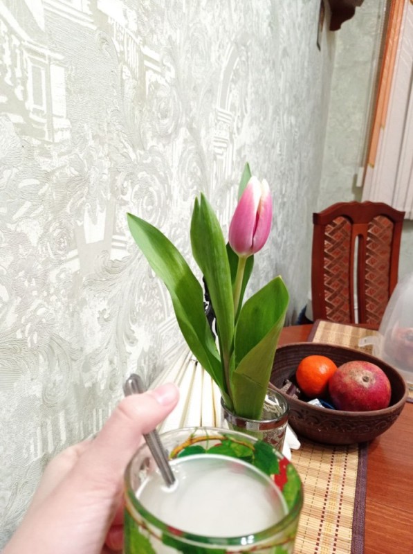 Создать мем: растения, тюльпаны в прозрачной вазе, цветы тюльпаны дома