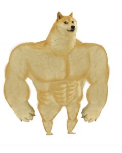 Create meme: doge Jock, inflated dog meme, dog Jock meme