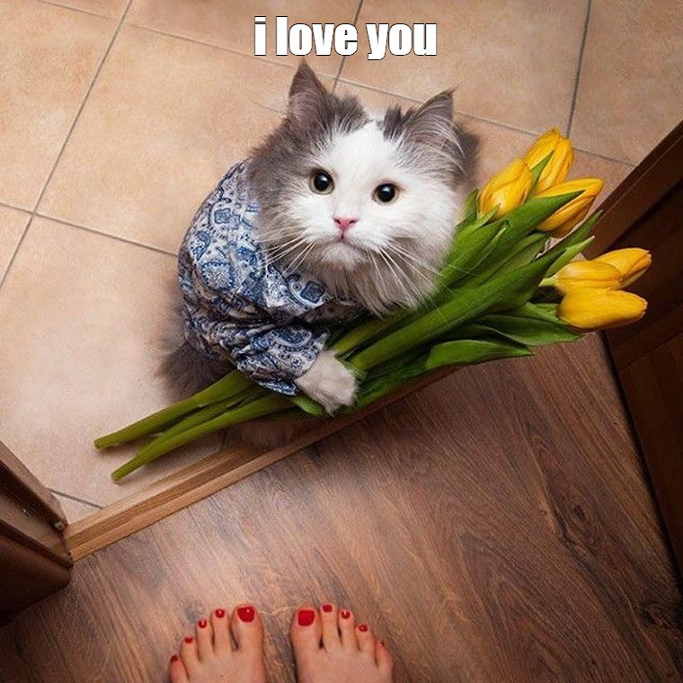 Создать мем: котик с цветами, кот с букетом цветов, кот с цветами мем
