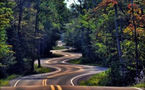 Create meme: Wallpaper, beautiful forest, road