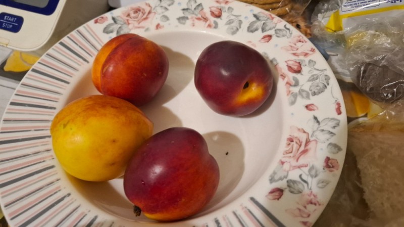 Create meme: nectarine, peach nectarine apricot, plum nectarine