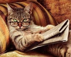 Create meme: cat reads, smart cat 150 150, smart cat pictures