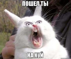 Создать мем: орущий заяц, кричащий кролик мем, орущий кролик мем