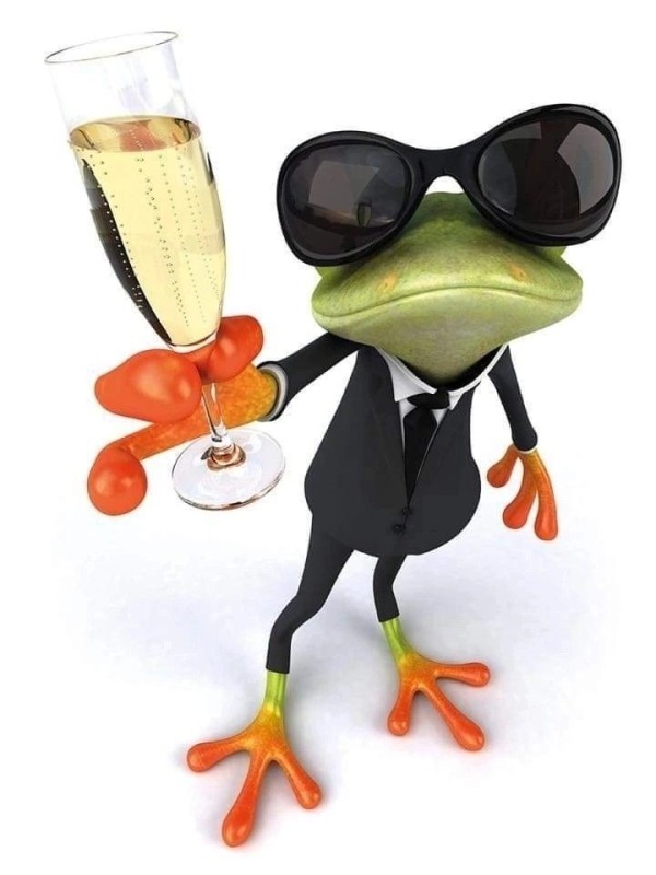 Create meme: frog , frog funny, the frog is cool