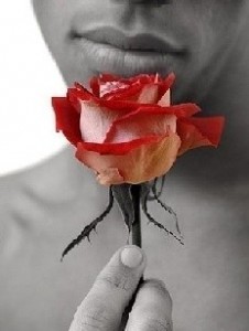 Создать мем: мужчина нюхает розу, цветы красивые розы, красивые розы