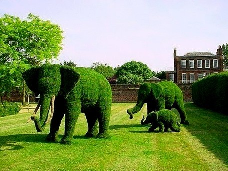 Create meme: Topiary King, topiary elephant figures, topiary art Versailles France