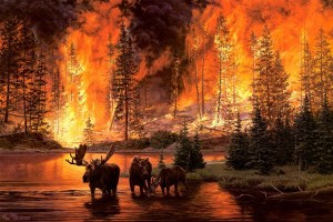 Создать мем: пожар в сибири фото животных в пожаре в хорошем качестве, пожар в сибири животные, лесные пожары