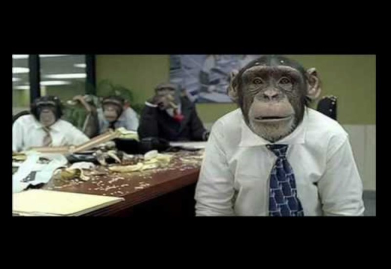 Create meme: monkey at work, funny monkey , happy monkey