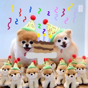 Create meme: happy birthday wishes, happy birthday, Pomeranian Boo