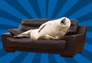 Создать мем: тюлень на боку, тюлень валяется на диване, тюлень