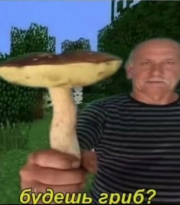 Создать мем: держит огромный гриб, буш гриб дед, буш гриб