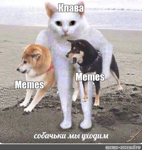 Создать мем: null