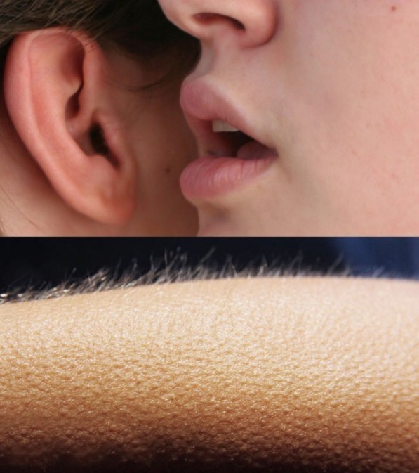 Create meme: whispers goosebumps, Whisper in your ear, whispers meme