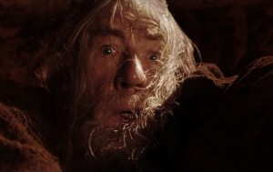 Create meme: run you fools, Gandalf run you fools, Gandalf run you fools picture