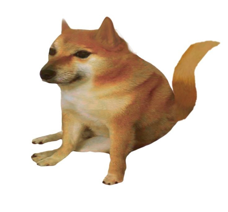 Create meme: Shiba inu doggie, a meme with a dog siba, dog meme 