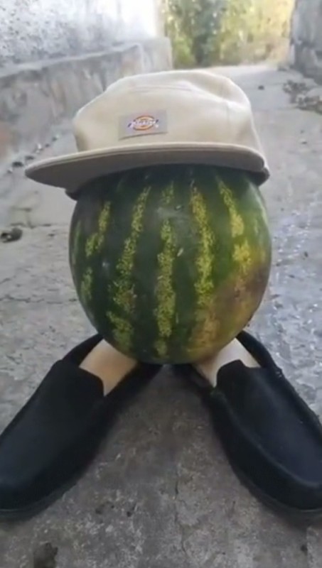 Create meme: watermelon watermelon, watermelon melon, cool watermelon