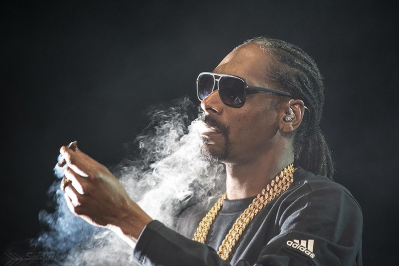 Create meme: Snoop Dogg with grass, Snoop Dogg cant, Snoop Dogg smokes