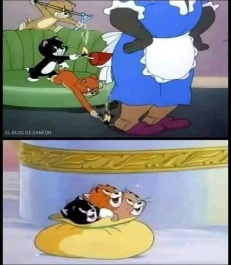Create meme: Tom and Jerry , The adventures of Tom and Jerry, Tom and Jerry cat