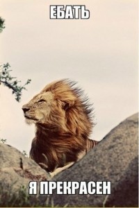 Create meme: the picture lion fuck I am beautiful, photo of a lion I fucking good, Leo I'm beautiful