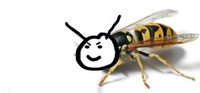 Create meme: hornet wasp bee bumblebee, wasp hornet bee, wasp bee and bumblebee