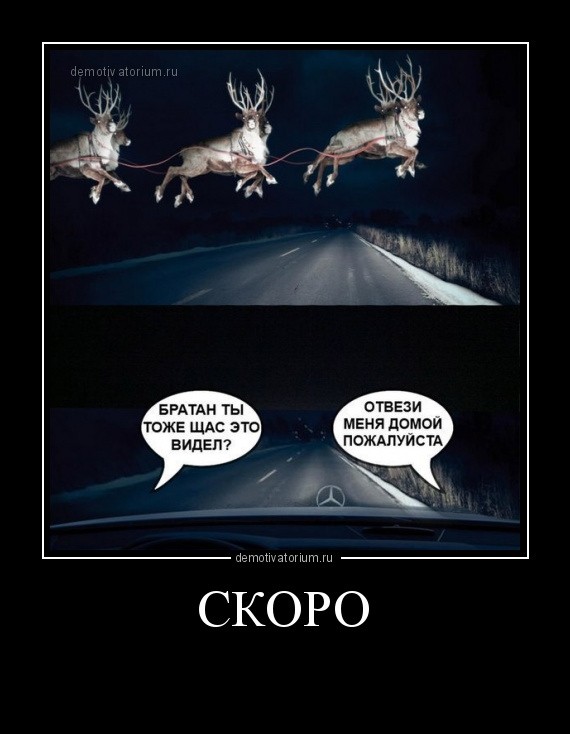 Create meme: deer on the road, deer by car, reindeer 